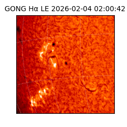 gong - 2026-02-04T02:00:42