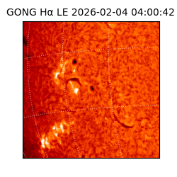 gong - 2026-02-04T04:00:42