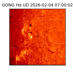 gong - 2026-02-04T07:00:02