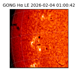 gong - 2026-02-04T01:00:42