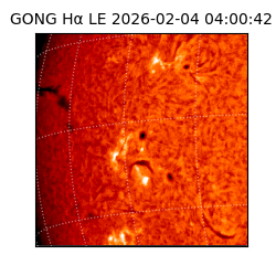 gong - 2026-02-04T04:00:42