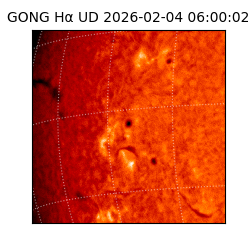 gong - 2026-02-04T06:00:02