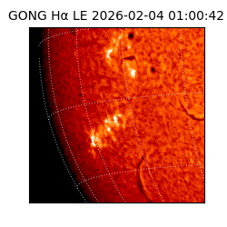 gong - 2026-02-04T01:00:42