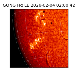 gong - 2026-02-04T02:00:42