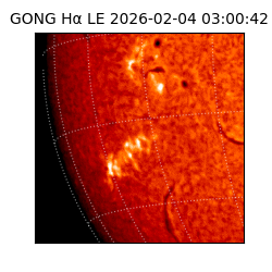 gong - 2026-02-04T03:00:42