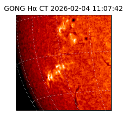 gong - 2026-02-04T11:07:42