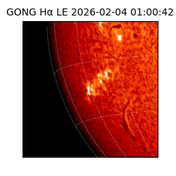 gong - 2026-02-04T01:00:42