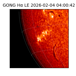 gong - 2026-02-04T04:00:42