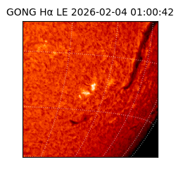 gong - 2026-02-04T01:00:42