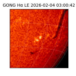 gong - 2026-02-04T03:00:42