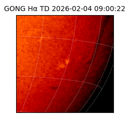 gong - 2026-02-04T09:00:22