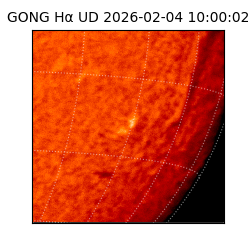 gong - 2026-02-04T10:00:02