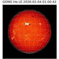 gong - 2026-02-04T01:00:42