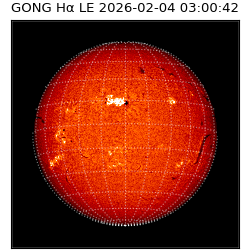 gong - 2026-02-04T03:00:42