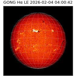 gong - 2026-02-04T04:00:42