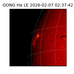 gong - 2026-02-07T02:37:42