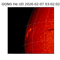 gong - 2026-02-07T03:02:02