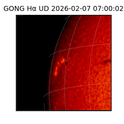 gong - 2026-02-07T07:00:02