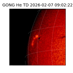 gong - 2026-02-07T09:02:22