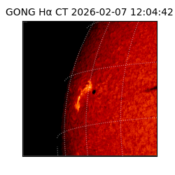 gong - 2026-02-07T12:04:42