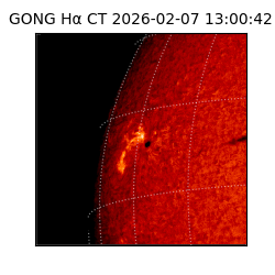 gong - 2026-02-07T13:00:42