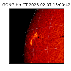 gong - 2026-02-07T15:00:42