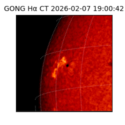 gong - 2026-02-07T19:00:42
