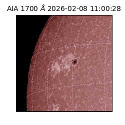 saia - 2026-02-08T11:00:28.718000