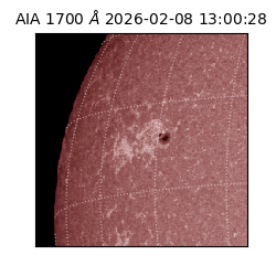 saia - 2026-02-08T13:00:28.718000