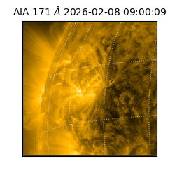 saia - 2026-02-08T09:00:09.350000