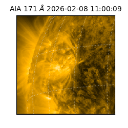 saia - 2026-02-08T11:00:09.349000