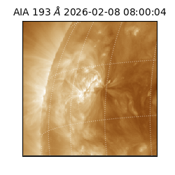 saia - 2026-02-08T08:00:04.846000