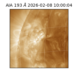 saia - 2026-02-08T10:00:04.843000