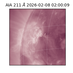 saia - 2026-02-08T02:00:09.626000