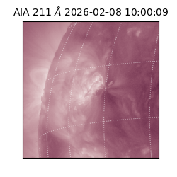 saia - 2026-02-08T10:00:09.626000