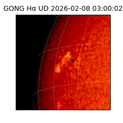 gong - 2026-02-08T03:00:02