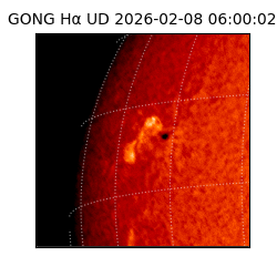 gong - 2026-02-08T06:00:02