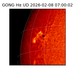 gong - 2026-02-08T07:00:02