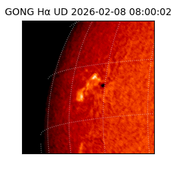 gong - 2026-02-08T08:00:02