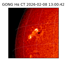 gong - 2026-02-08T13:00:42