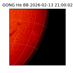 gong - 2026-02-13T21:00:02