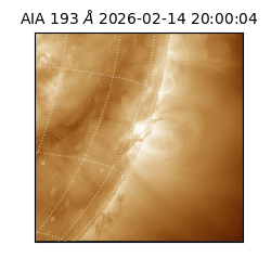 saia - 2026-02-14T20:00:04.835000