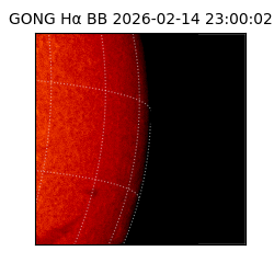 gong - 2026-02-14T23:00:02