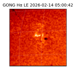 gong - 2026-02-14T05:00:42