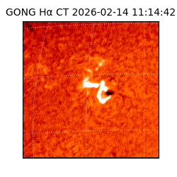 gong - 2026-02-14T11:14:42