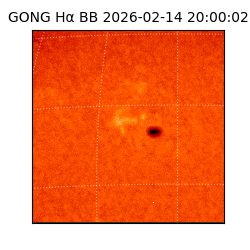 gong - 2026-02-14T20:00:02