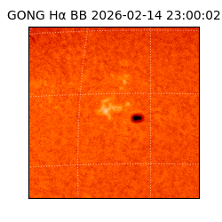 gong - 2026-02-14T23:00:02