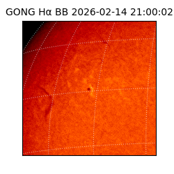 gong - 2026-02-14T21:00:02