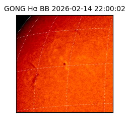 gong - 2026-02-14T22:00:02