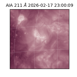 saia - 2026-02-17T23:00:09.622000